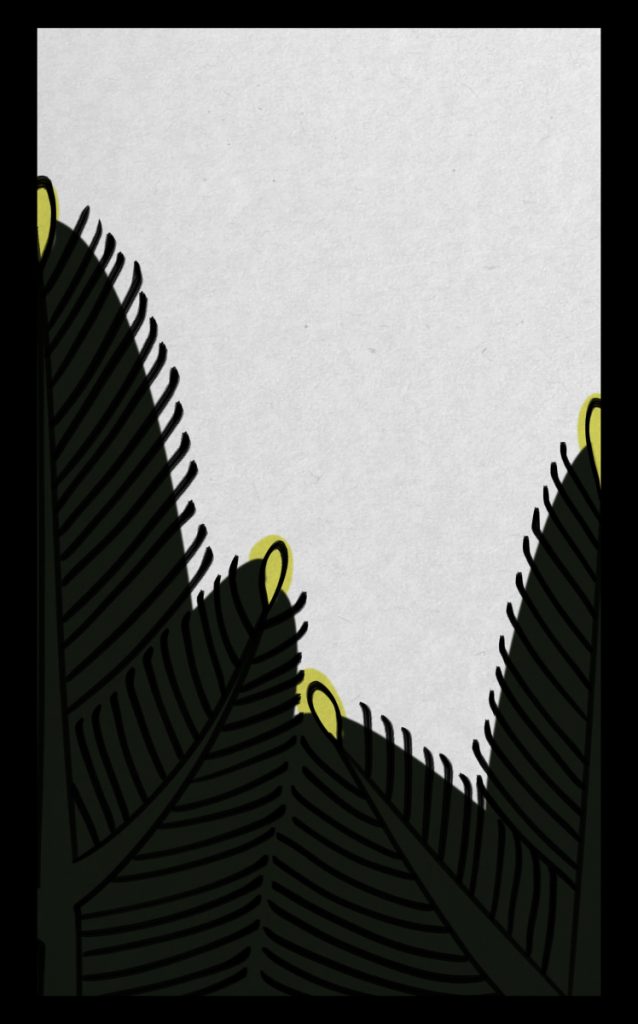 おいちょかぶのルール トランプ・ボードゲームのルールブック